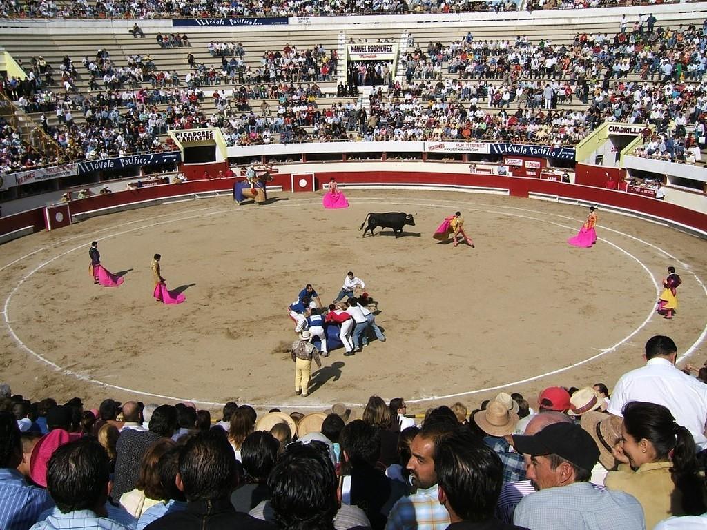 Luring the bull away to get the horse on its feet