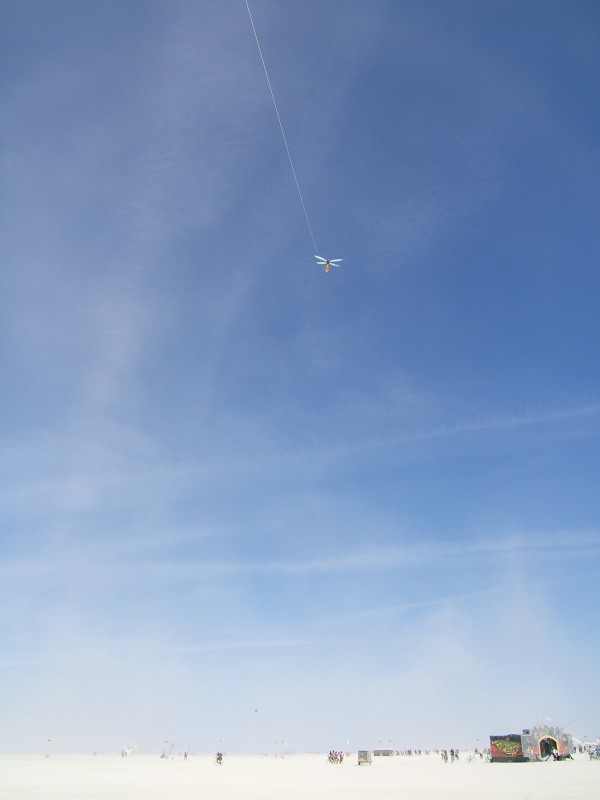 Bee kite