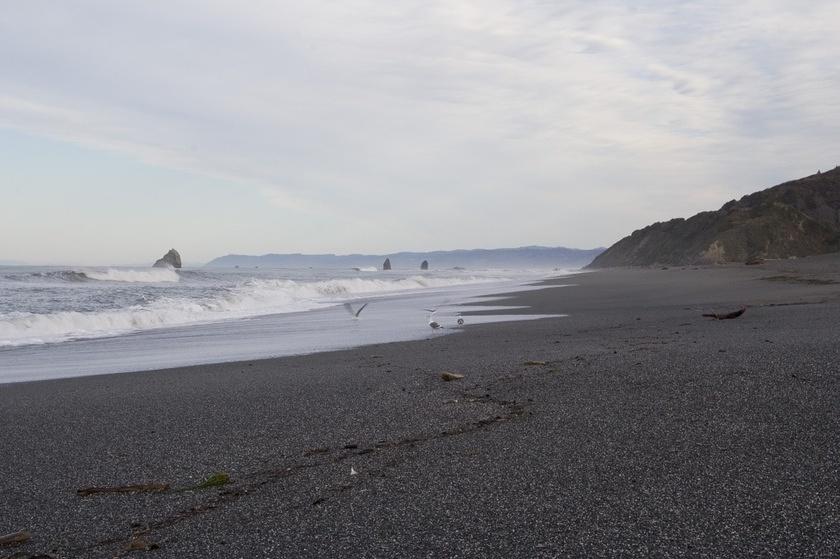 Pebble beach and surf