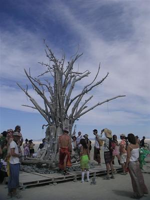 The tree of life