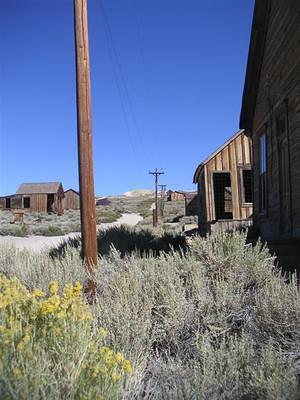 Yellow flowers and sage now populate Bodie