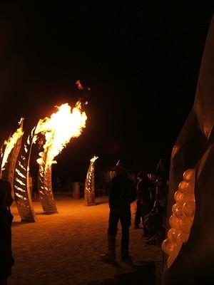 The Phoenix fire installation