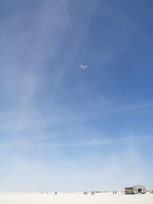 Bee kite