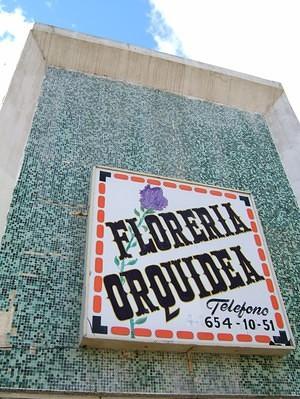 Tiles & flowers