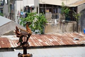 Roof decoration