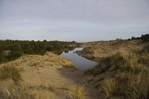 Coos Bay dunes