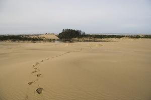 Footprints in the Oregon Dunes