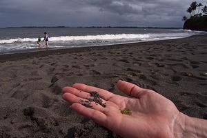 Anna sorting sand at Honolii Cove