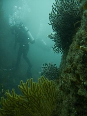 Randi at the Suejac wreck