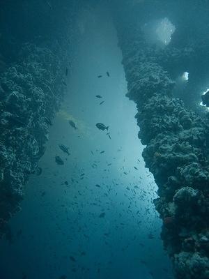 Looking up under the rig