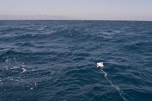 Chumming for sharks off Catalina.  None came :(