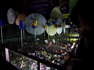 Coin donation