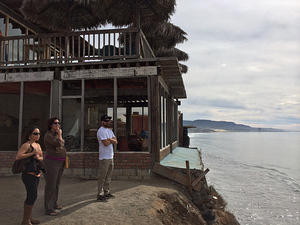 Watching for whales
