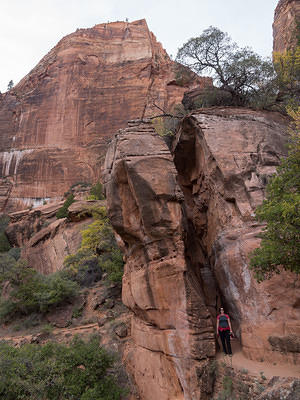 Anna hiking Zion's Emerald Pools Trail