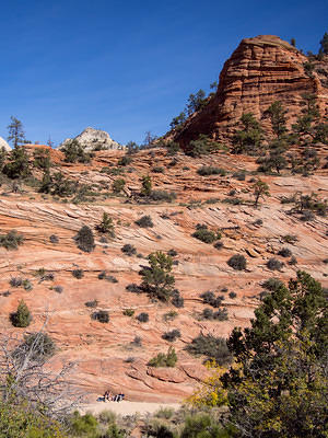 Relaxing near Zion's Mt Carmel Highway